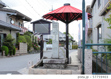 滋賀 坂本城址 滋賀 坂本城址 57759403