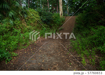 岩槻城址公園　堀跡　さいたま市 57760653