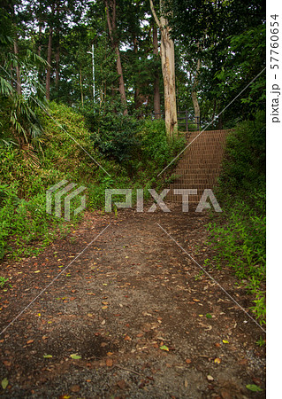 岩槻城址公園　堀跡　さいたま市 57760654