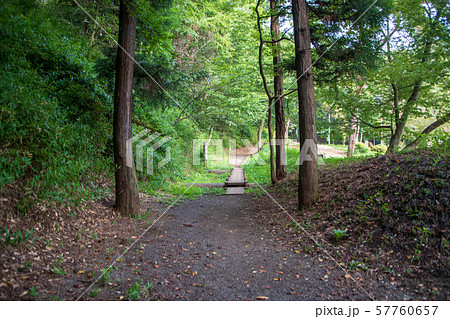岩槻城址公園 堀障子 空堀 さいたま市 岩槻城址公園 堀障子 空堀 さいたま市 57760657