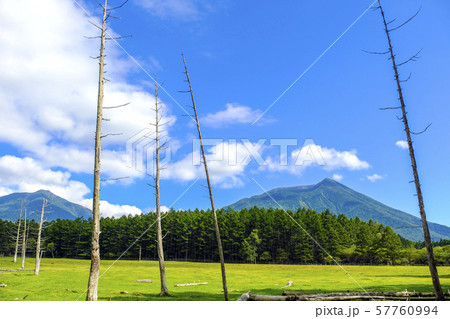 光徳牧場から男体山と大真名子山 57760994