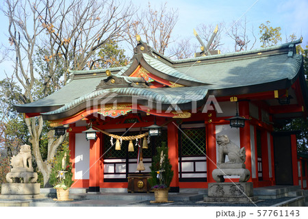 豊中住吉神社-21 豊中住吉神社-21 57761143