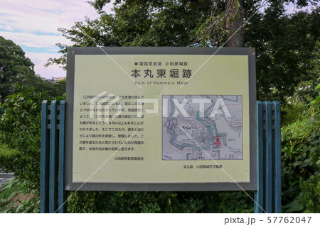 ■ 小田原城 ■ 本丸東堀跡 ■ 案内板 ■ 北条早雲 ■ 神奈川県  57762047