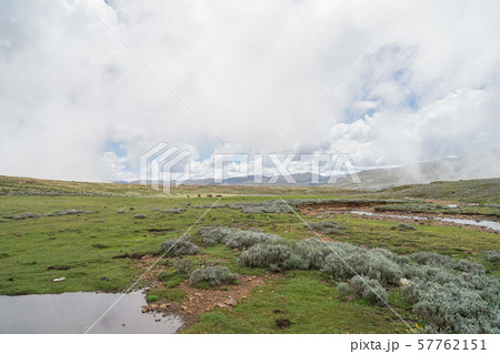 サニパスの風景 57762151