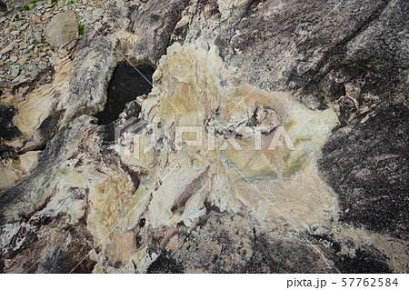 本州最東端の地三陸ジオパーク魹ヶ埼の風景 57762584