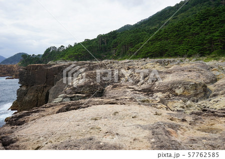 本州最東端の地三陸ジオパーク魹ヶ埼の風景 本州最東端の地三陸ジオパーク魹ヶ埼の風景 57762585