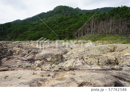 本州最東端の地三陸ジオパーク魹ヶ埼の風景 本州最東端の地三陸ジオパーク魹ヶ埼の風景 57762586