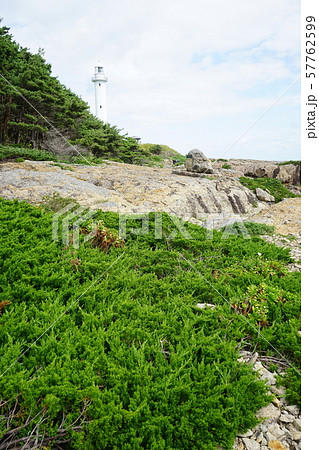 本州最東端の地三陸ジオパーク魹ヶ埼の風景 本州最東端の地三陸ジオパーク魹ヶ埼の風景 57762599