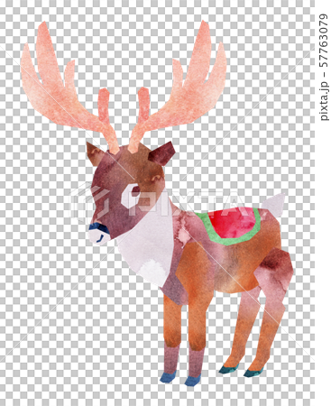 馴鹿站立 57763079