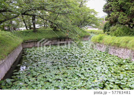 ■ 龍岡城 ■ 五稜郭 ■ 堀 ■ 松平乗謨 ■ 長野県 佐久市 ■ 龍岡城 ■ 五稜郭 ■ 堀 ■ 松平乗謨 ■ 長野県 佐久市 57763481