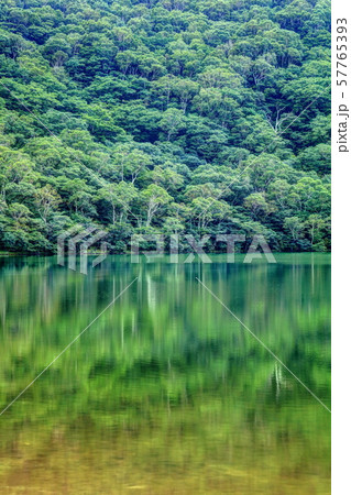 赤城小沼 57765393