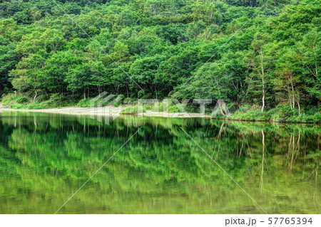 赤城小沼 57765394