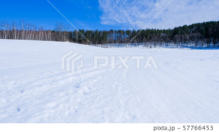 雪原 57766453