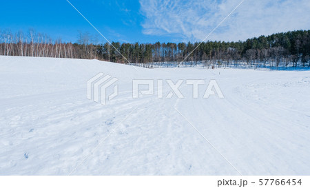 雪原 57766454