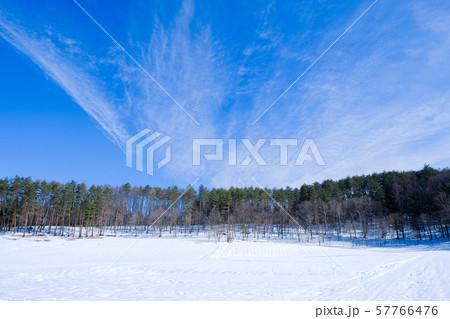 雪原 57766476