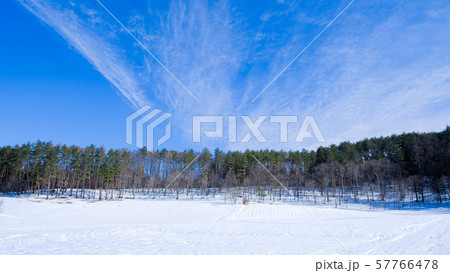 雪原 57766478