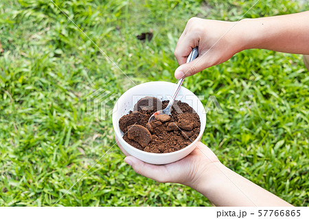 Person apply spent grounded coffee powder as 57766865