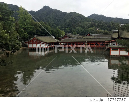 宮島・厳島神社 宮島・厳島神社 57767787
