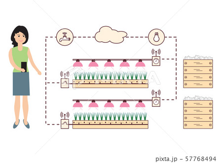Woman controls the smart farm and agriculture 57768494
