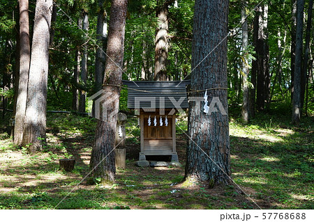 岩泉の松茸神社 57768688