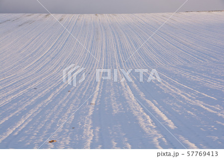 夕暮れの雪の畑 57769413