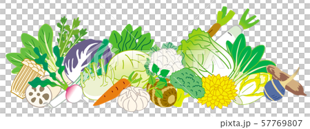 冬季のやさい 57769807