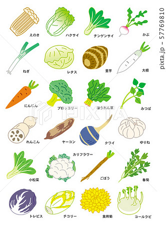 冬季のやさい 57769810
