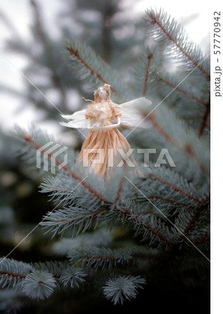 妖精 妖精 57770942