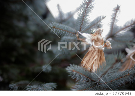 妖精 妖精 57770943