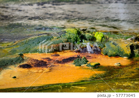 Geothermal power volcanic activity in New Zealand 57773045
