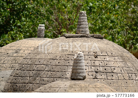 Katurogoda Ancient Vihara, Jaffna district, Sri 57773166