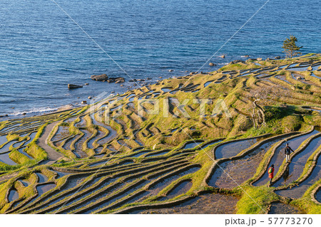 世界農業遺産 能登 白米千枚田 57773270