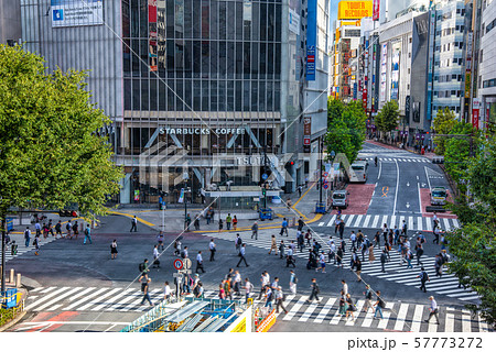 渋谷のスクランブル交差点 57773272