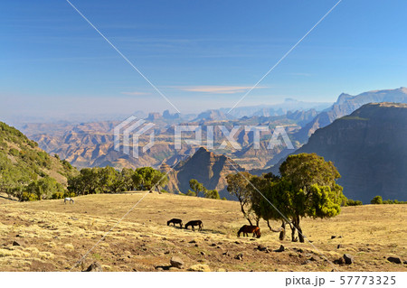 Panorama, Simien Mountains, Ethiopia Panorama, Simien Mountains, Ethiopia 57773325