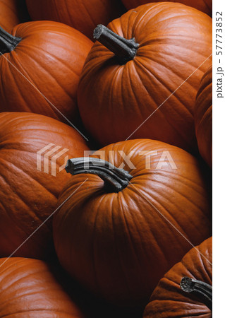 Many pumpkins background 57773852