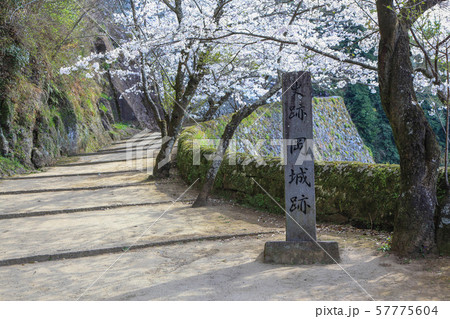 桜の岡城跡 57775604
