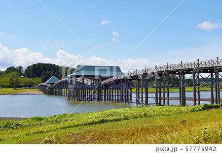 【青森県】夏の鶴の舞橋 57775942