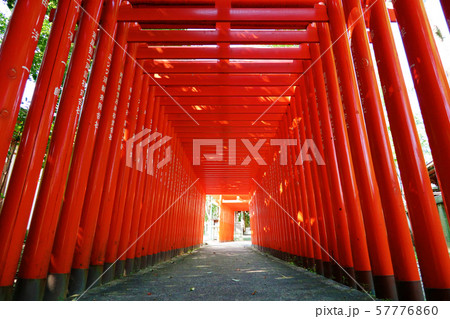 愛知県 瀬戸市 深川神社 愛知県 瀬戸市 深川神社 57776860