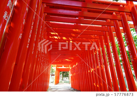 愛知県　瀬戸市　深川神社 57776873