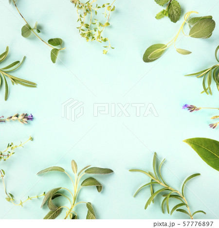 Square food design template. Culinary aromatic herbs and spices, shot from above on a teal blue 57776897