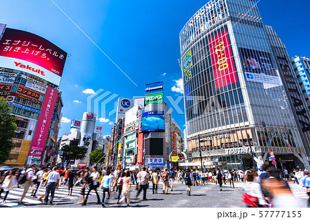 《東京都》渋谷駅前・スクランブル交差点 《東京都》渋谷駅前・スクランブル交差点 57777155