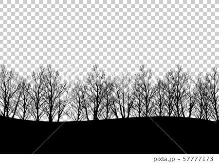 モノクロの林の風景のイラスト素材