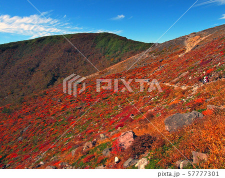 鮮やかに紅葉した山肌(那須 茶臼岳・南月山) 57777301