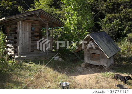 コテージ トイレ 犬小屋 57777414
