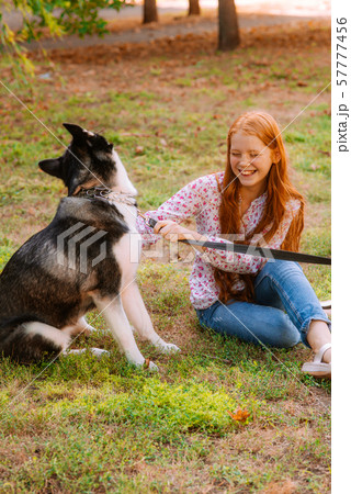 Cute teen girl with red long hair walks with her husky breed dog in the autumn park. Children and dogs. Autumn mood 57777456