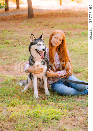 Cute teen girl with red long hair walks with her husky breed dog in the autumn park. Children and dogs. Autumn mood 57777469
