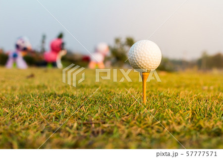 Golf ball on tee 57777571