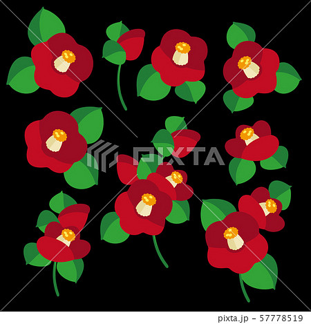 和調 椿のイラスト のイラスト素材