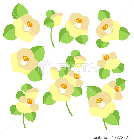 和調 椿のイラスト のイラスト素材