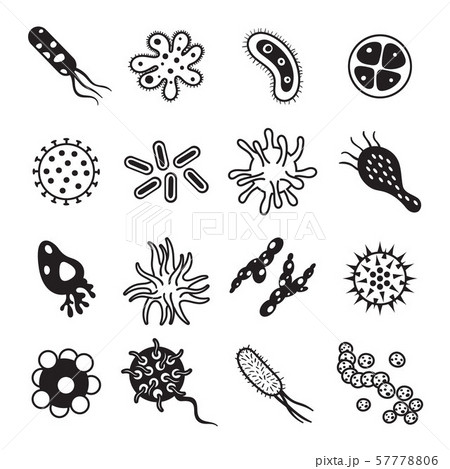 Biology diseases virus and mold bacteria hygiene icon. Biological disease and immune black icons Biology diseases virus and mold bacteria hygiene icon. Biological disease and immune black icons 57778806